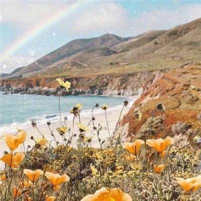 半岛官方入口app