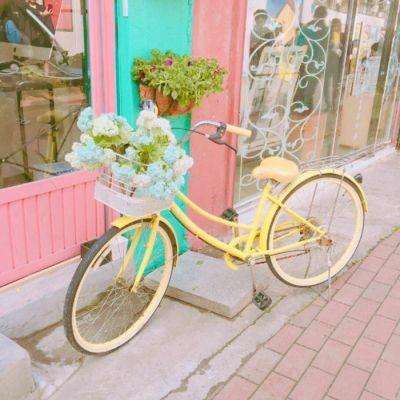 pg棋牌软件平台游戏