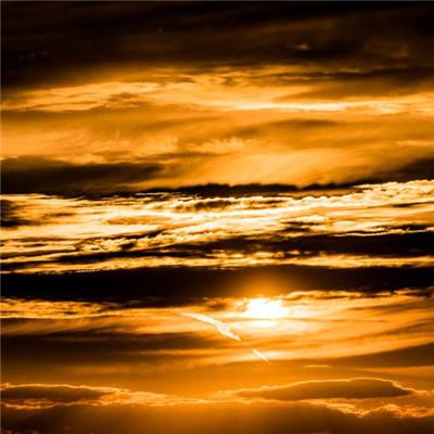 澳门网上黄金城