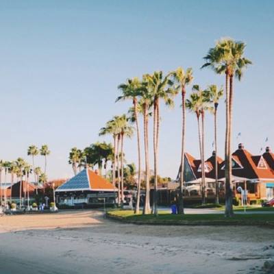 半岛官方入口app