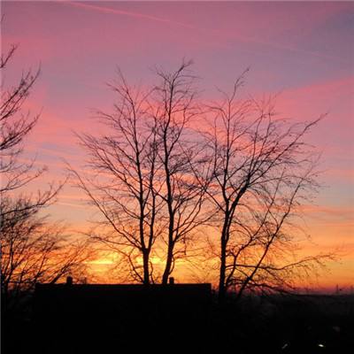 牛牛游戏网下载手机版