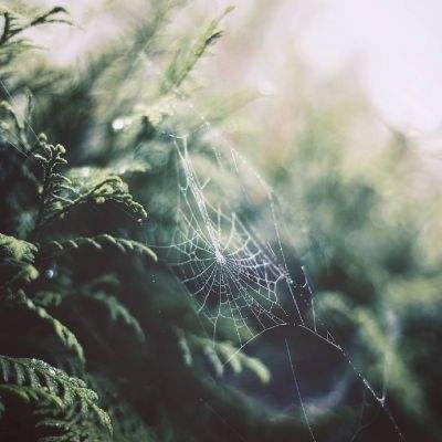 必一体育官网平台