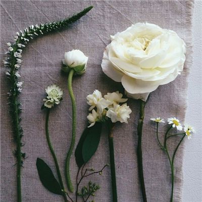 半岛.综合体育入口