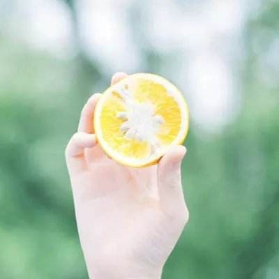 管家婆期期四肖四码中特管家下载手机版截图