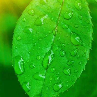 必一体育app官方网站